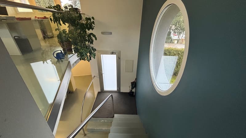 modern building with stairs, glass railing, entrance door, circular window, plants