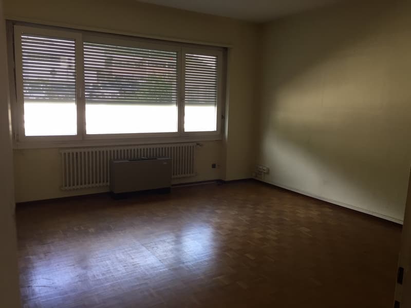 empty room, wooden floor, white walls, large window, white radiator, electrical outlets