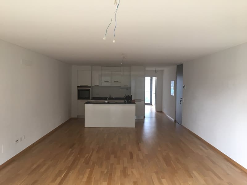 BIOGGIO - APPARTAMENT MODERNE 2 PIÈCES AU RDC (7)