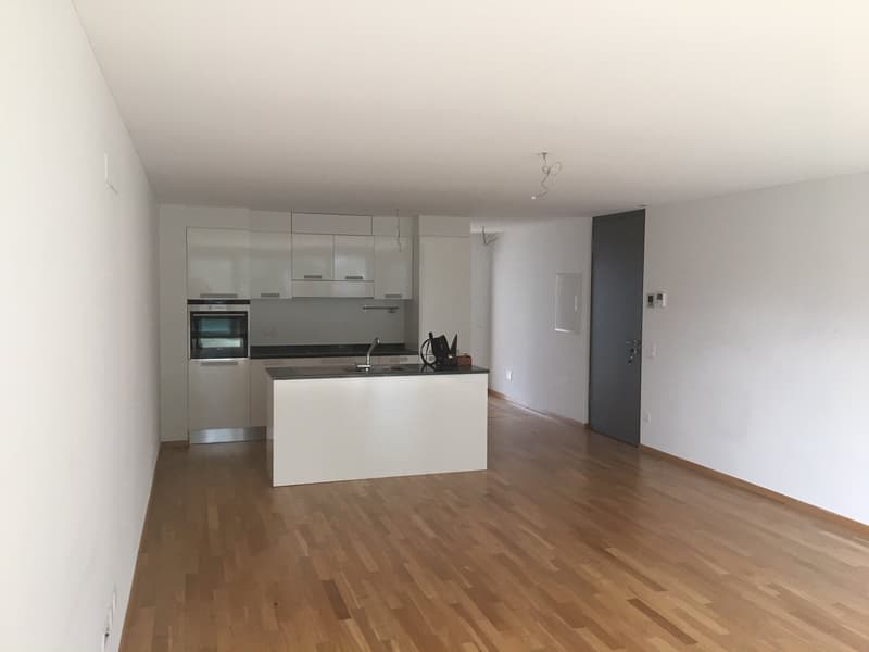BIOGGIO - APPARTAMENT MODERNE 2 PIÈCES AU RDC (9)