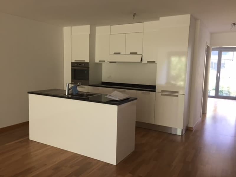 BIOGGIO - APPARTAMENT MODERNE 2 PIÈCES AU RDC (5)