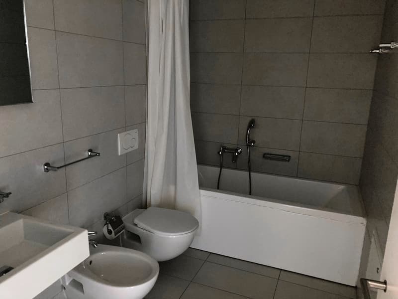 BIOGGIO - APPARTAMENT MODERNE 2 PIÈCES AU RDC (14)