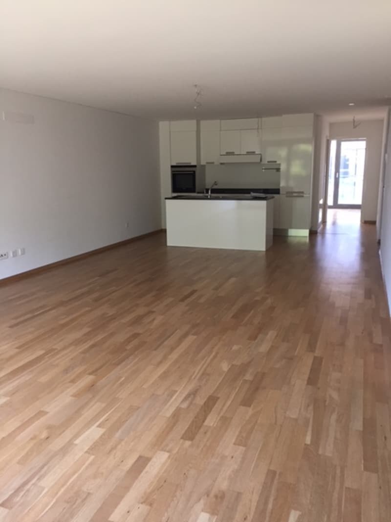 BIOGGIO - APPARTAMENT MODERNE 2 PIÈCES AU RDC (2)