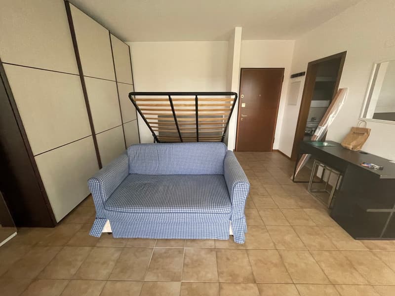 COLDRIERIO - SPACIOUS 1.5 ROOM APARTMENT FURNISHED WITH TERRACE (4)