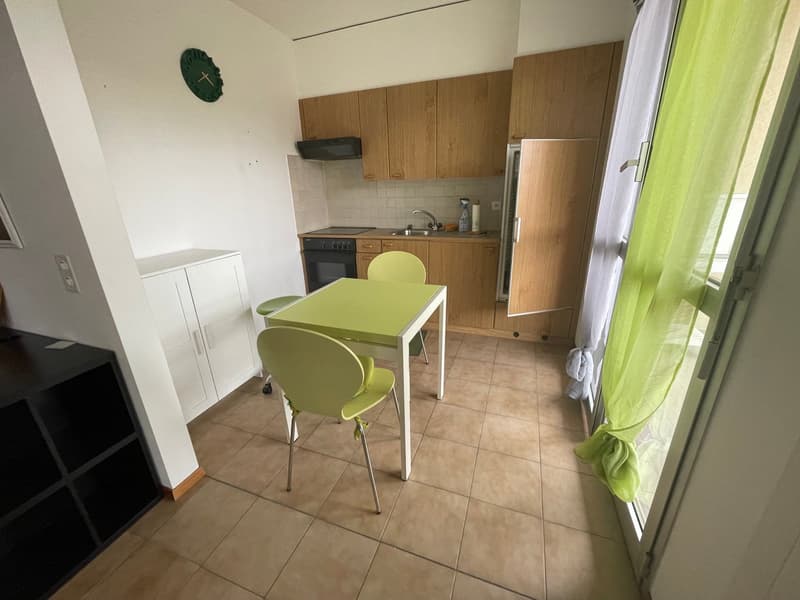 COLDRIERIO - SPACIOUS 1.5 ROOM APARTMENT FURNISHED WITH TERRACE (8)