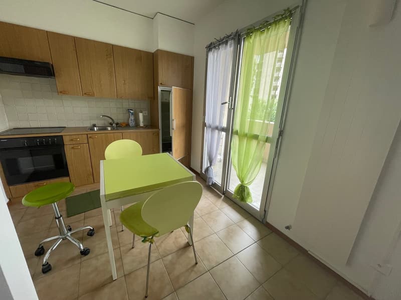 COLDRIERIO - SPACIOUS 1.5 ROOM APARTMENT FURNISHED WITH TERRACE (1)