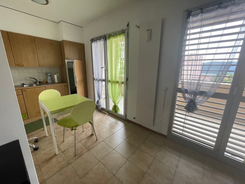 COLDRIERIO - SPACIOUS 1.5 ROOM APARTMENT FURNISHED WITH TERRACE (9)
