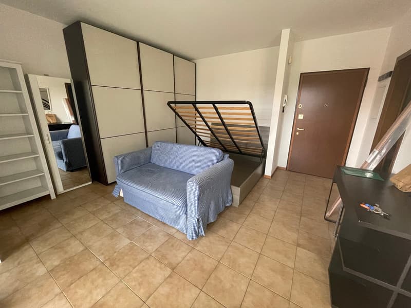 COLDRIERIO - SPACIOUS 1.5 ROOM APARTMENT FURNISHED WITH TERRACE (2)