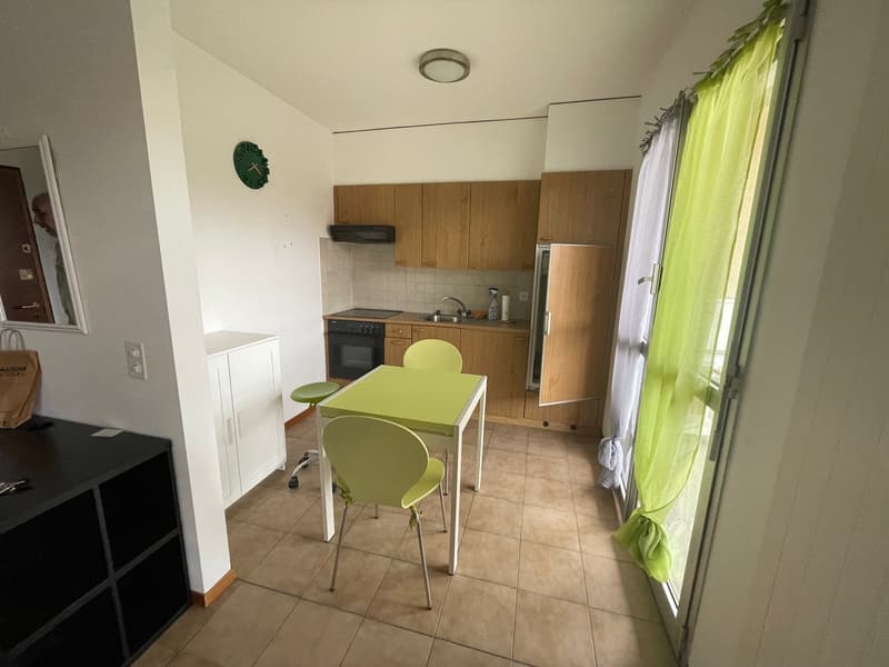 COLDRIERIO - SPACIOUS 1.5 ROOM APARTMENT FURNISHED WITH TERRACE (7)