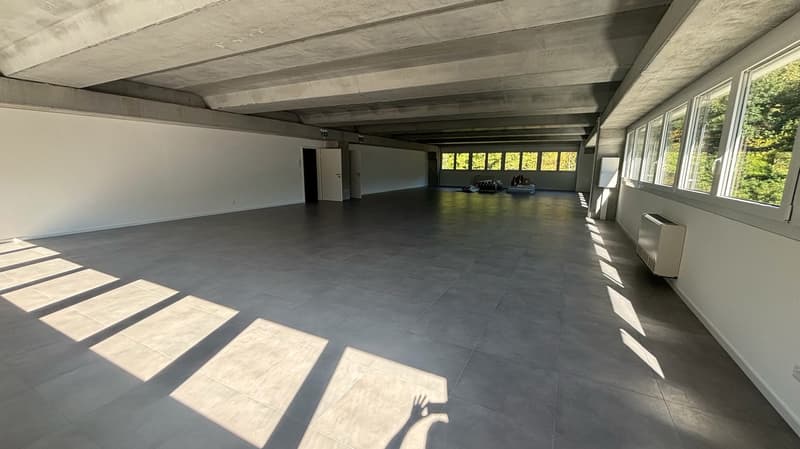 MEZZOVICO - new, bright and divisible office (16)