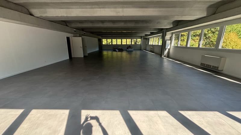 MEZZOVICO - new, bright and divisible office (15)