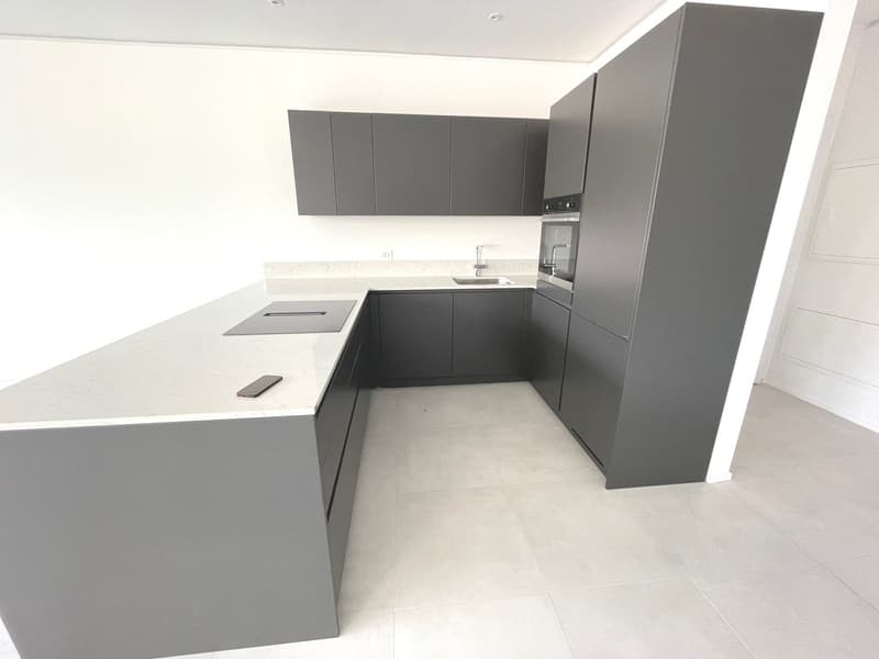 LUGANO - ULTIMO APPARTAMENTO 3 LOCALI IN AFFITTO (11)