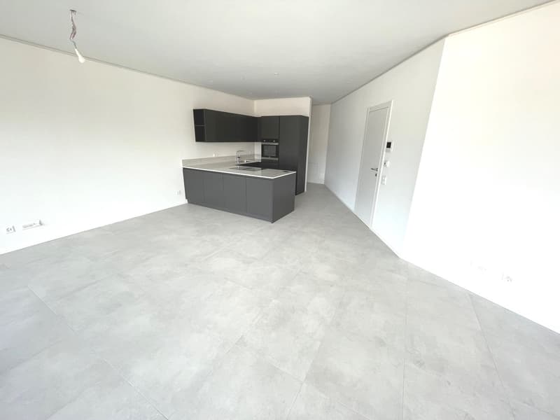 LUGANO - ULTIMO APPARTAMENTO 3 LOCALI IN AFFITTO (4)