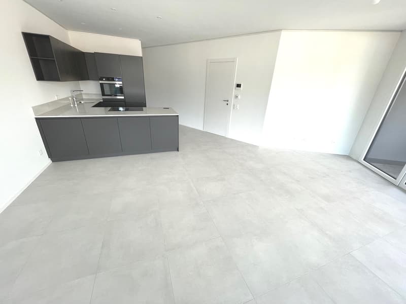 LUGANO - ULTIMO APPARTAMENTO 3 LOCALI IN AFFITTO (5)