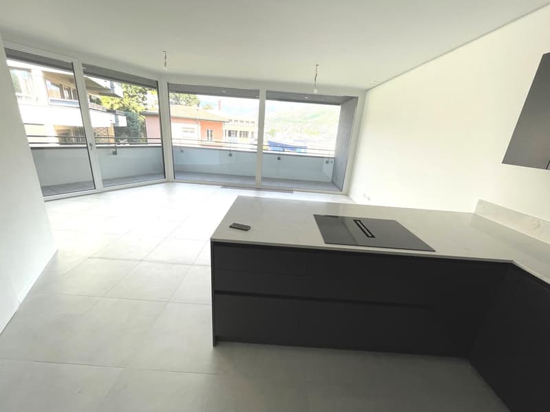 LUGANO - ULTIMO APPARTAMENTO 3 LOCALI IN AFFITTO (8)