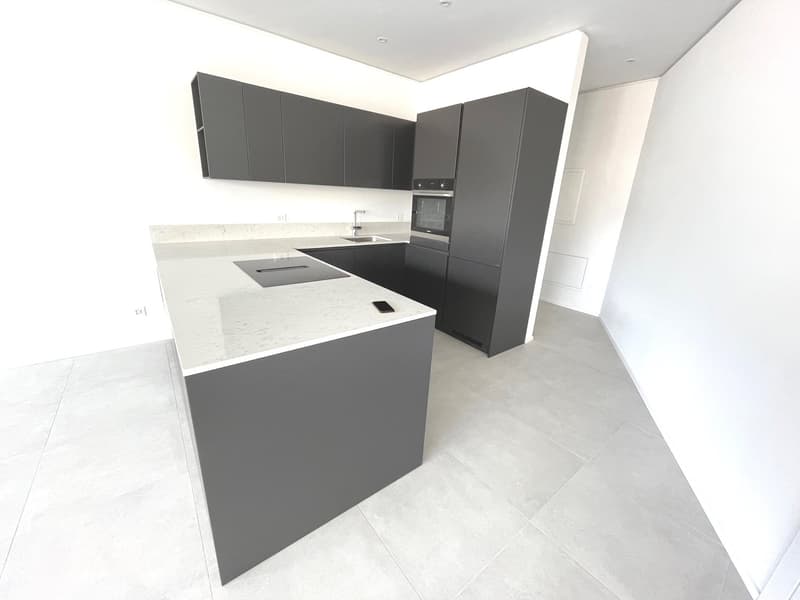 LUGANO - ULTIMO APPARTAMENTO 3 LOCALI RESIDENZA FORSYTH (13)