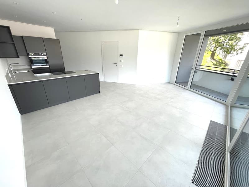 LUGANO - ULTIMO APPARTAMENTO 3 LOCALI RESIDENZA FORSYTH (10)