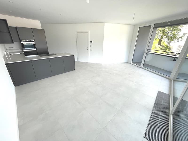 LUGANO - ULTIMO APPARTAMENTO 3 LOCALI RESIDENZA FORSYTH (4)