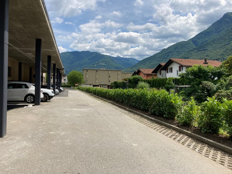 Parking area with cars parked, concrete floor, hedges, mountains in the background