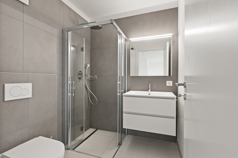 Modern bathroom with gray tile walls, glass shower enclosure, vanity with drawers, and a mirror above the sink