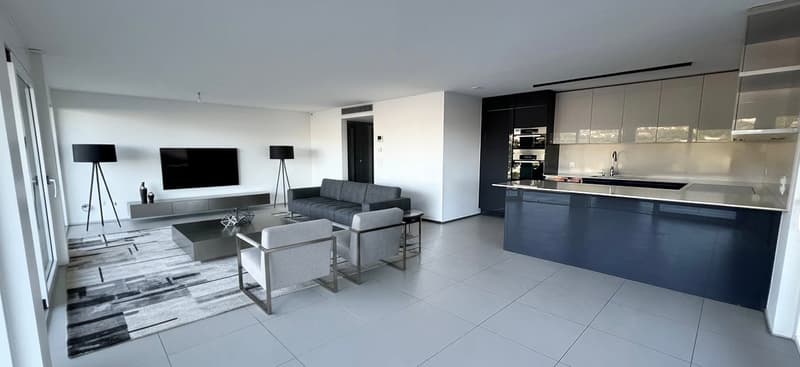 Elegante attico con grandissima terrazza coperta (9)