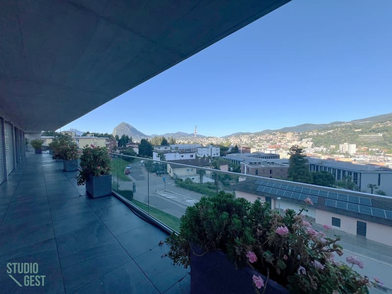 Elegante attico con grandissima terrazza coperta (2)