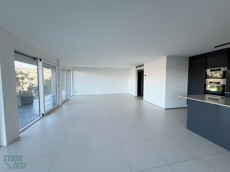 Elegante attico con grandissima terrazza coperta (8)