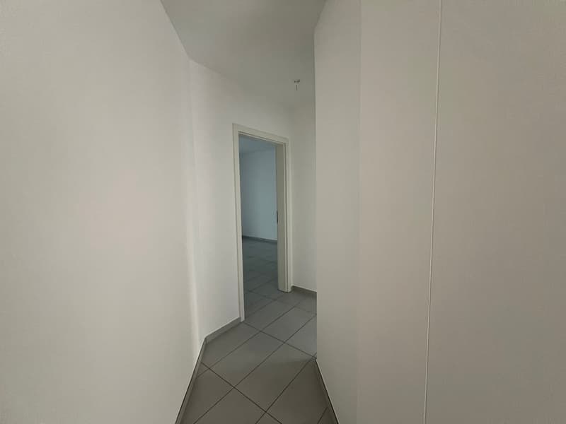 3,5 Lokale mit Garten in Ponte Capriasca (5)