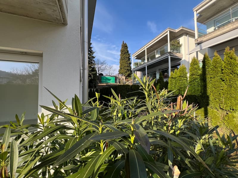 3,5 Lokale mit Garten in Ponte Capriasca (12)