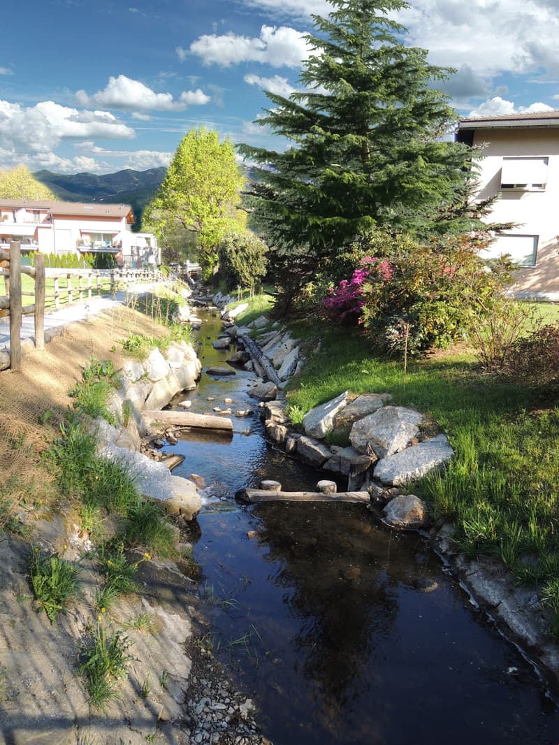 3,5 Lokale mit Garten in Ponte Capriasca (16)