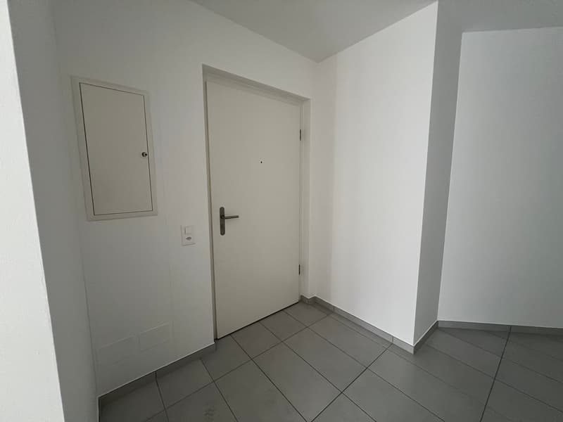 3,5 Lokale mit Garten in Ponte Capriasca (4)