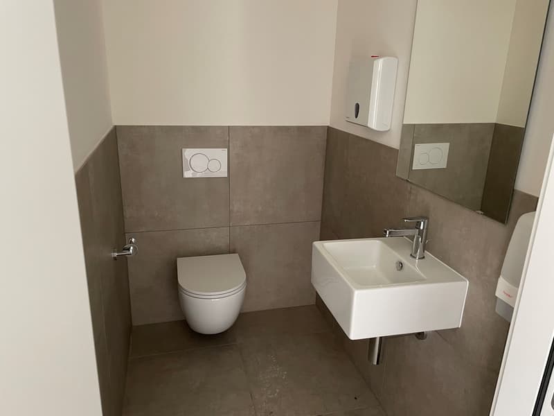 small bathroom with toilet, sink, and mirror