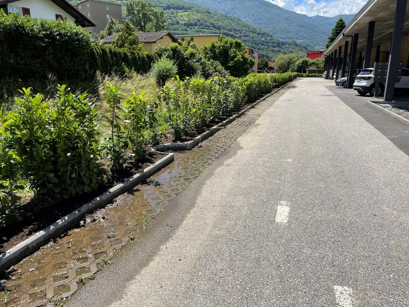 asphalt road with a drainage channel, bushes on the side, parked cars on the right