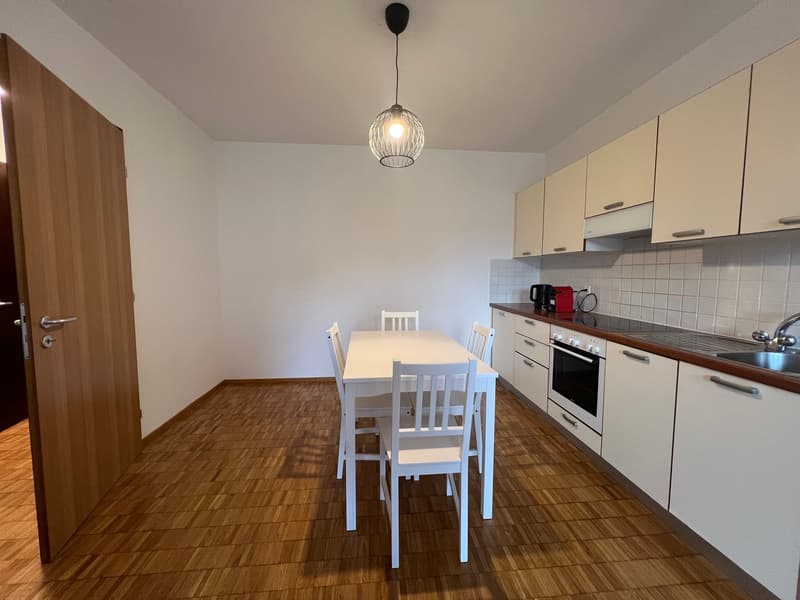 Two-room apartment furnished for rent in Chiasso (4)