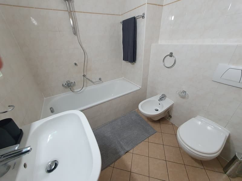 Two-room apartment furnished for rent in Chiasso (10)