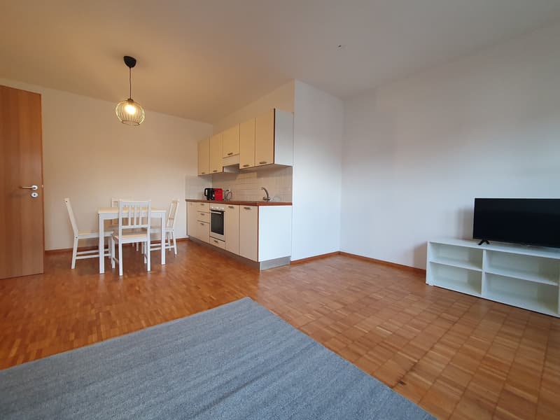 Two-room apartment furnished for rent in Chiasso (5)