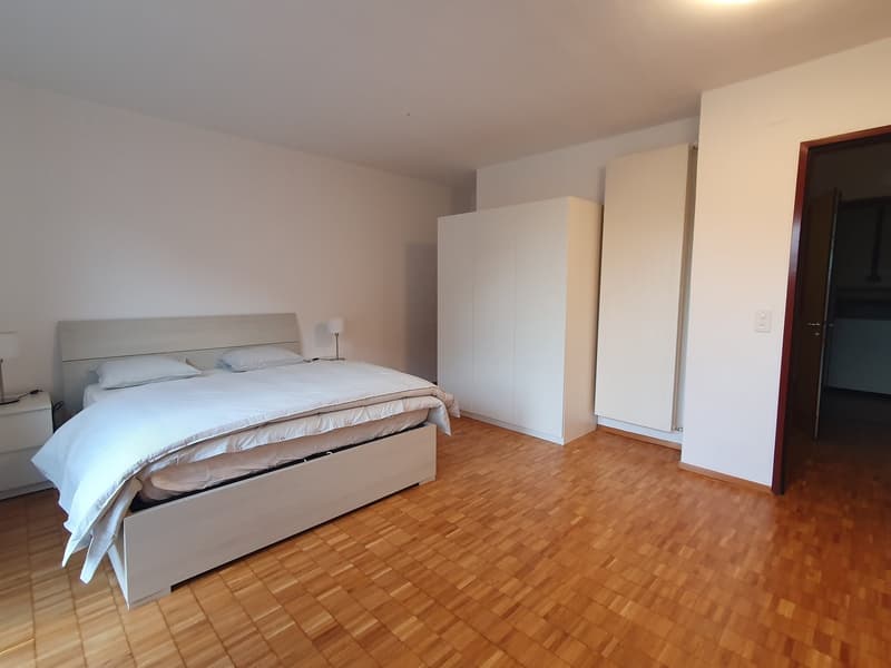 Two-room apartment furnished for rent in Chiasso (8)