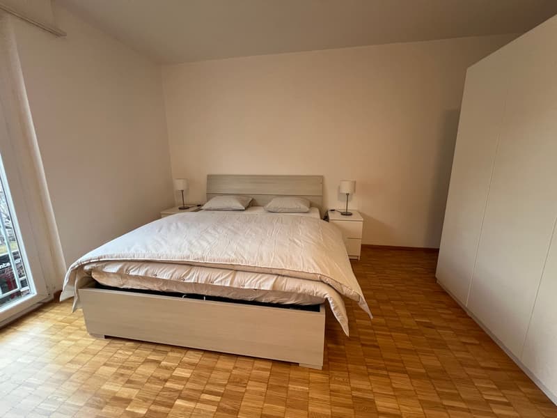 Two-room apartment furnished for rent in Chiasso (7)