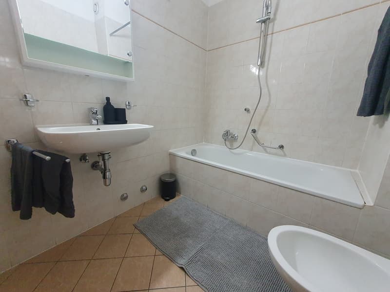 Two-room apartment furnished for rent in Chiasso (9)