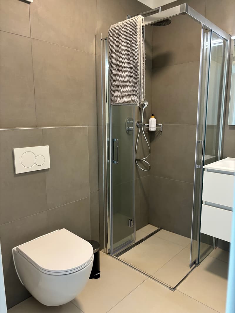 The image shows a modern bathroom with a glass shower enclosure, a toilet, and a vanity cabinet. The walls are tiled in a neutral color scheme, and there is a towel rack mounted on the wall above the shower. The bathroom appears to be well-designed and eq