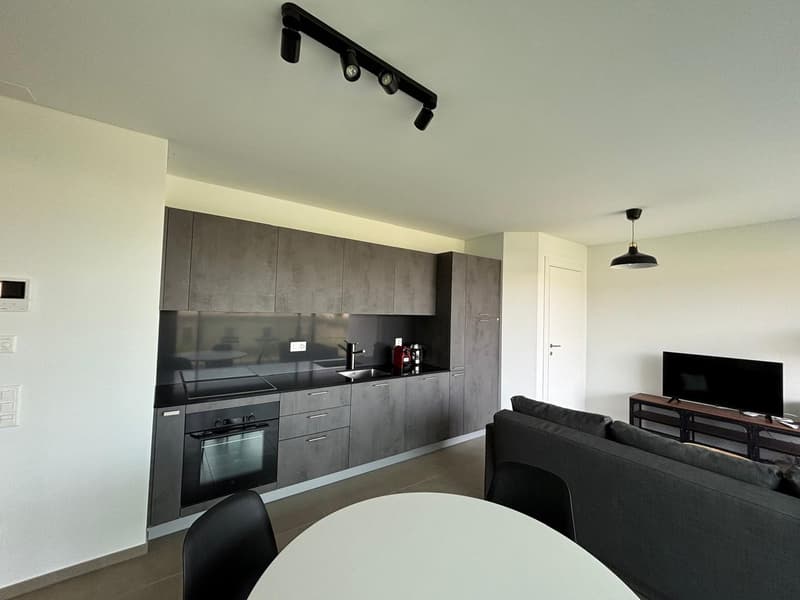 Nouvel appartement 2 pièces entièrement meublé - Loyer tout compris (4)