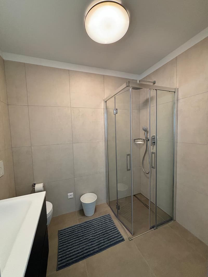 Nouvel appartement 2 pièces entièrement meublé - Loyer tout compris (17)