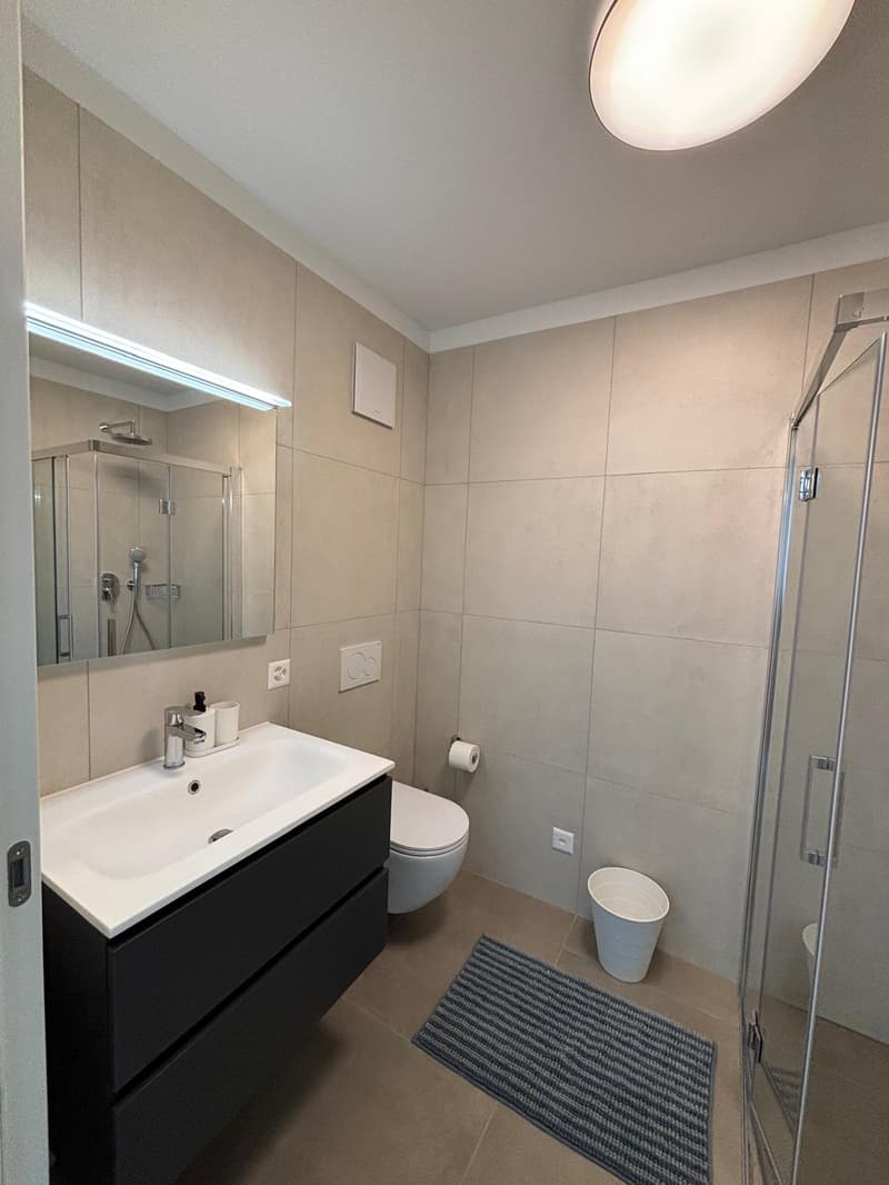 Nouvel appartement 2 pièces entièrement meublé - Loyer tout compris (16)