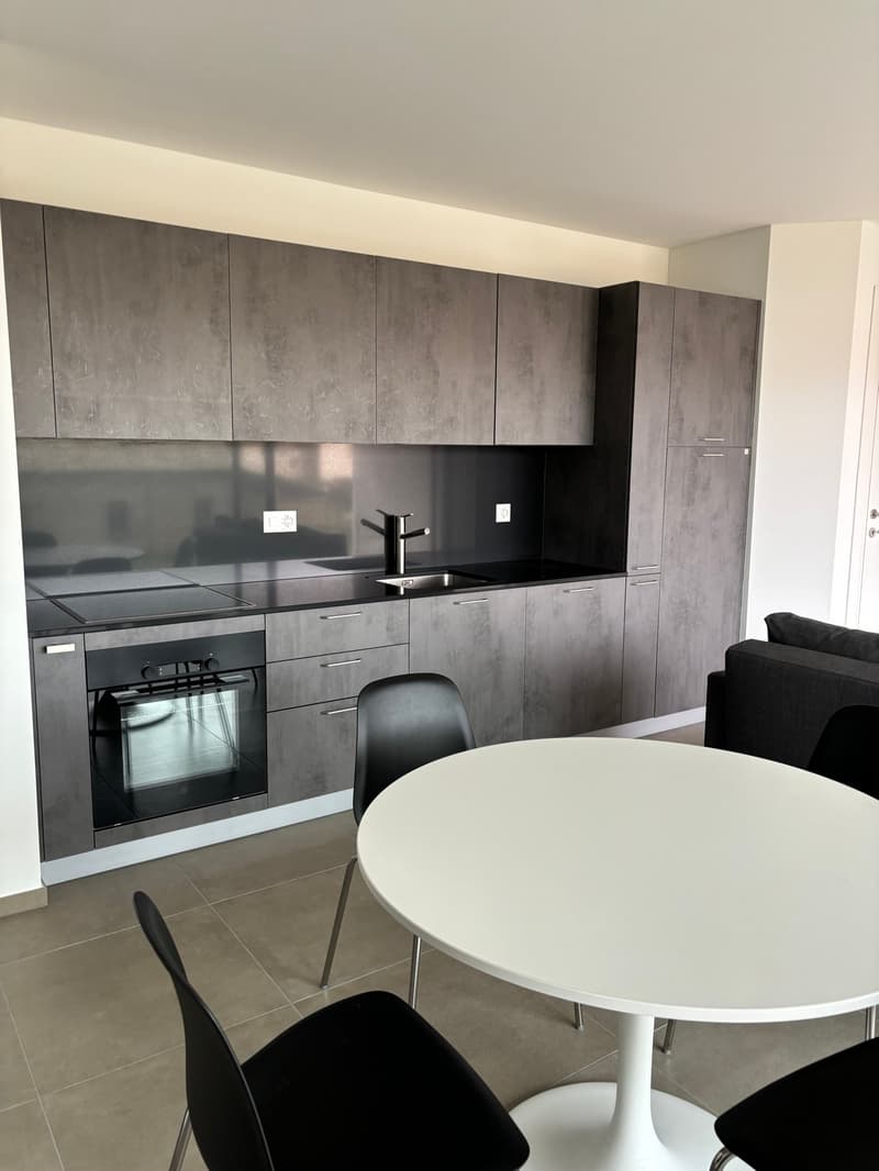 Nouvel appartement 2 pièces entièrement meublé - Loyer tout compris (3)