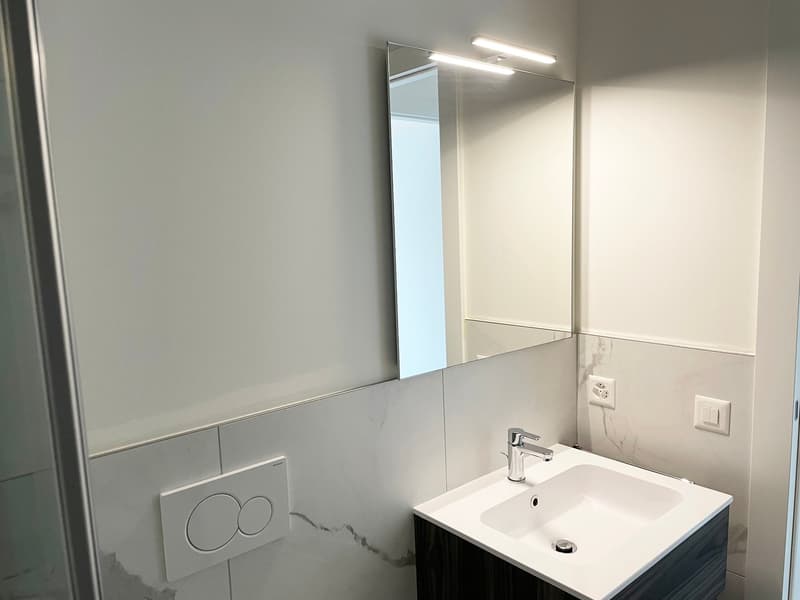 The image shows a modern bathroom with a white sink, a large mirror, and a flush toilet with a white panel. The walls are light-colored and the overall design appears to be minimalist and clean.