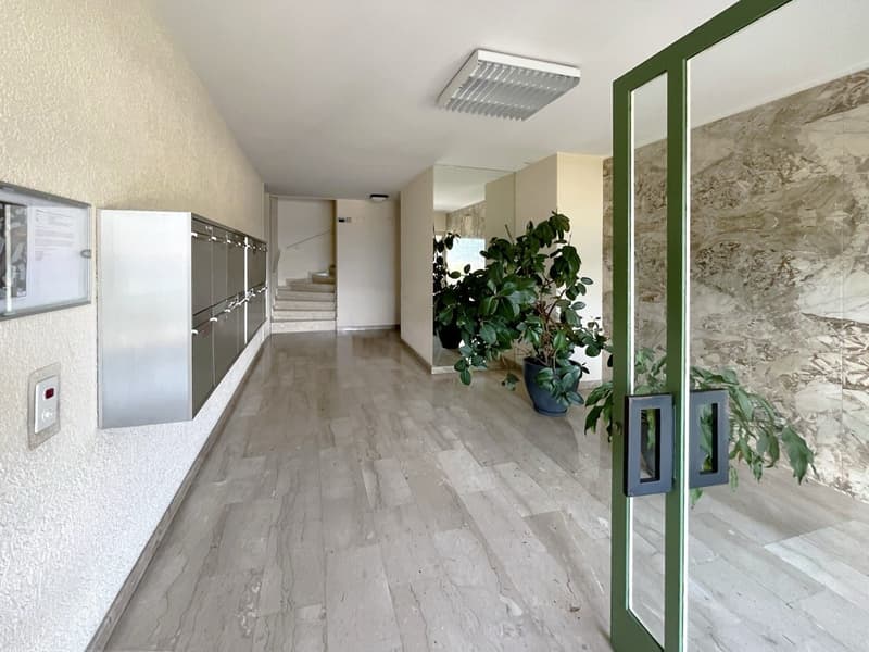 3,5 Locaux avec Vue sur le Lac – Position Stratégique à Lugano, Via San Gottardo 24 (12)