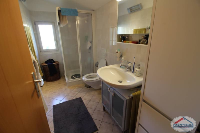 Proprietà composta da casa bifamiliare + casa singola e vasto giardino (10)