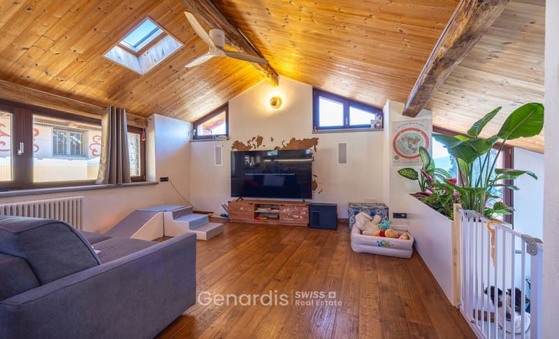 wooden floor, wooden ceiling, large windows, TV, couch, radiator, plant, baby gate