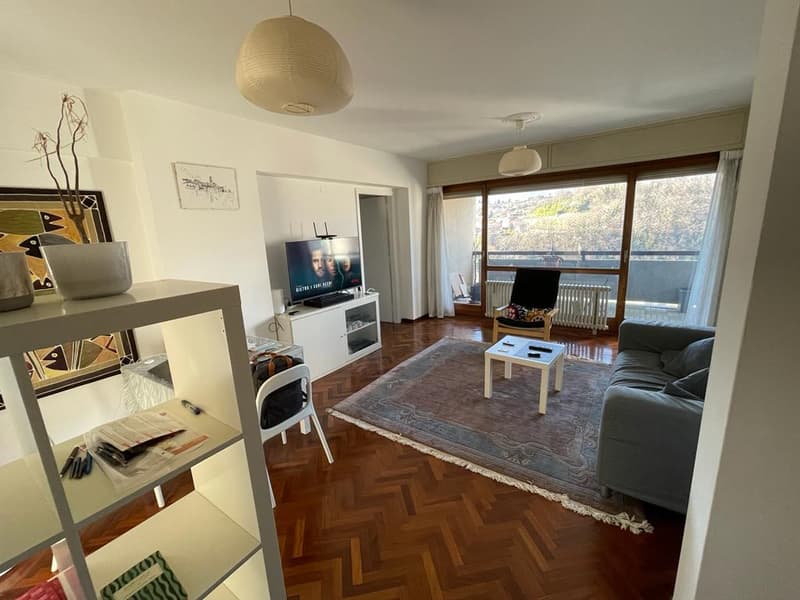 Comodità,   Appartamento  loc  3,5,   con Terrazza, vista panoramica,  cantina (6)
