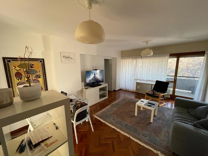 Comodità,   Appartamento  loc  3,5,   con Terrazza, vista panoramica,  cantina (8)